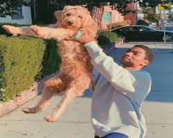 Elie is an animal lover and has adopted a dog. He calls his Young Simba.